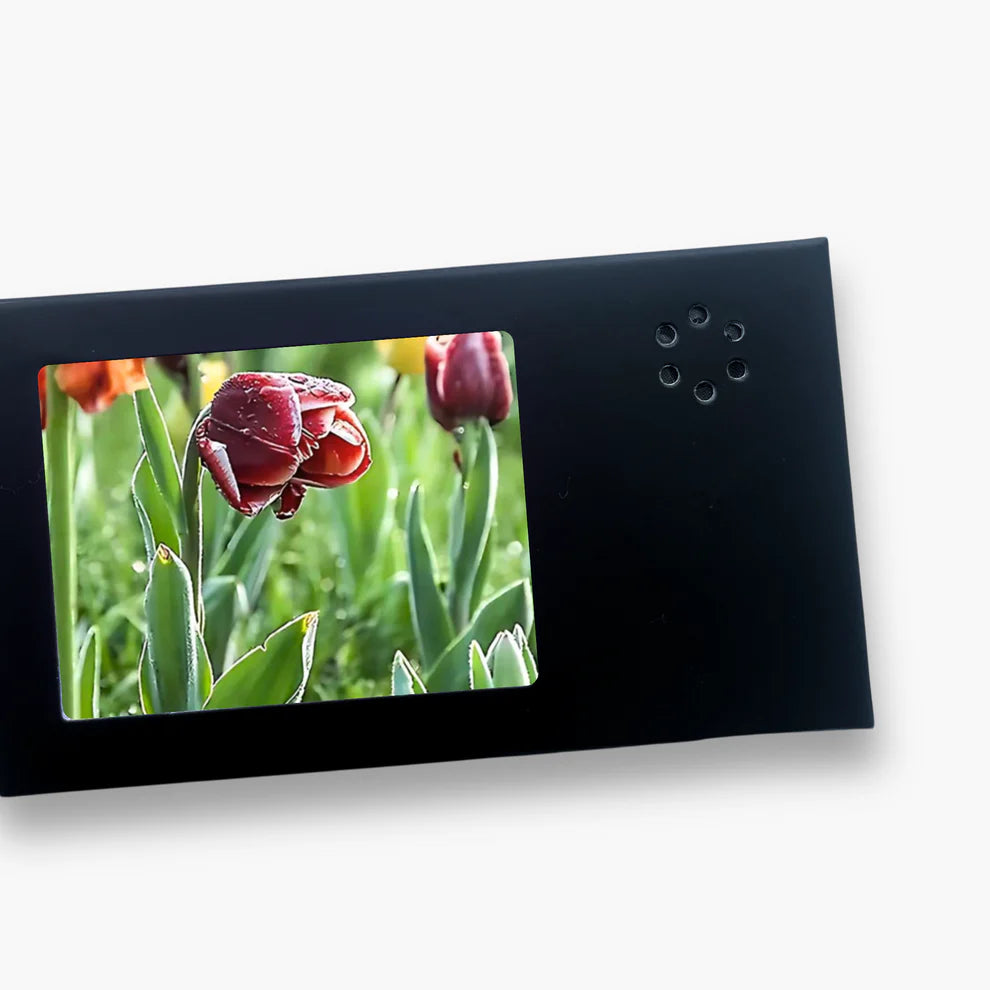 Mini Video Card