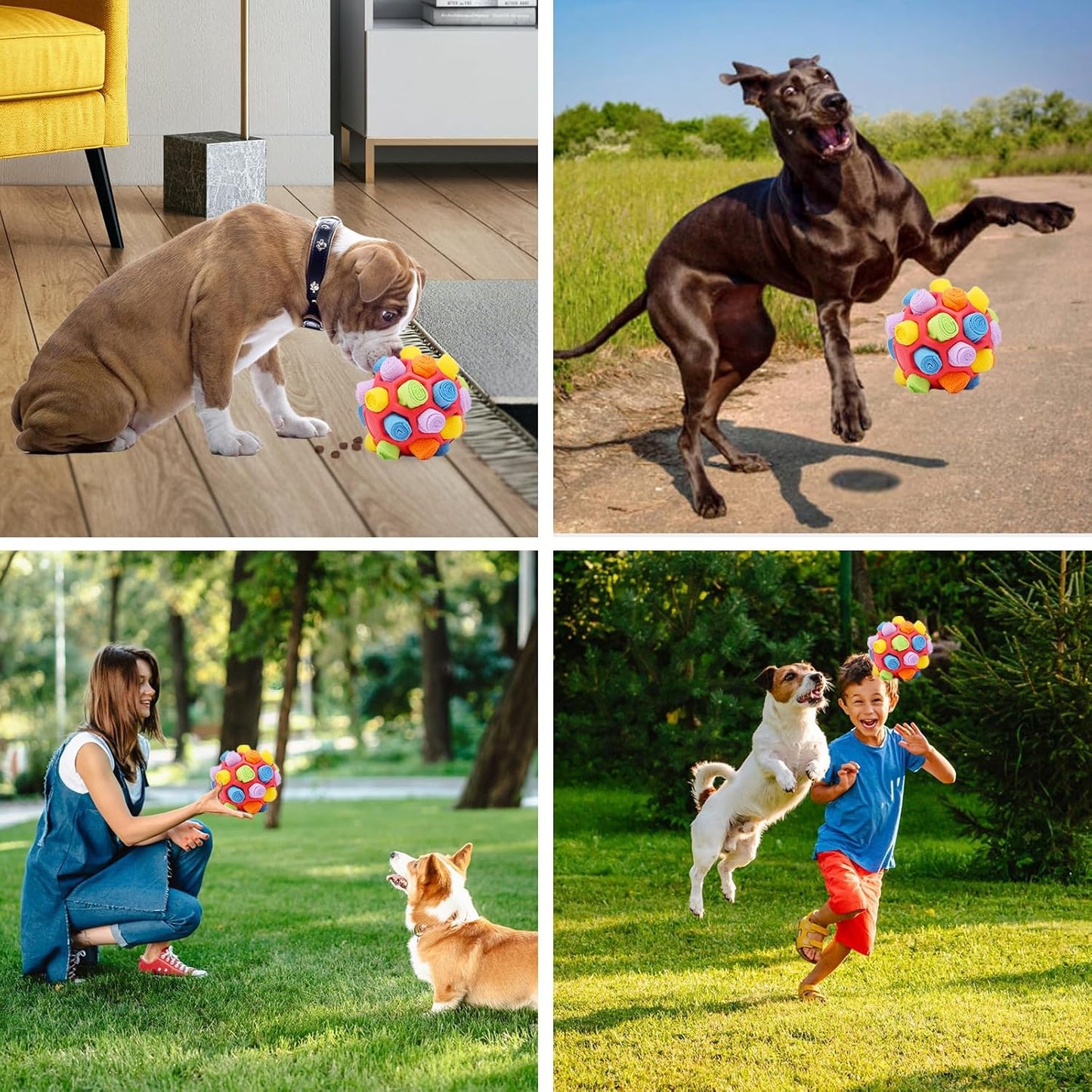 Snuffle Treat Ball