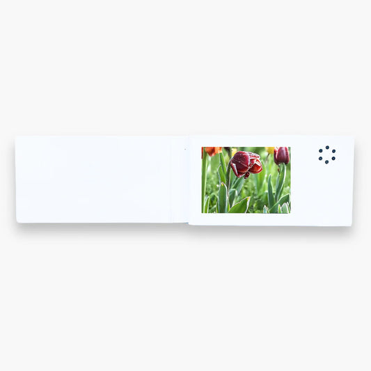 Mini Video Card